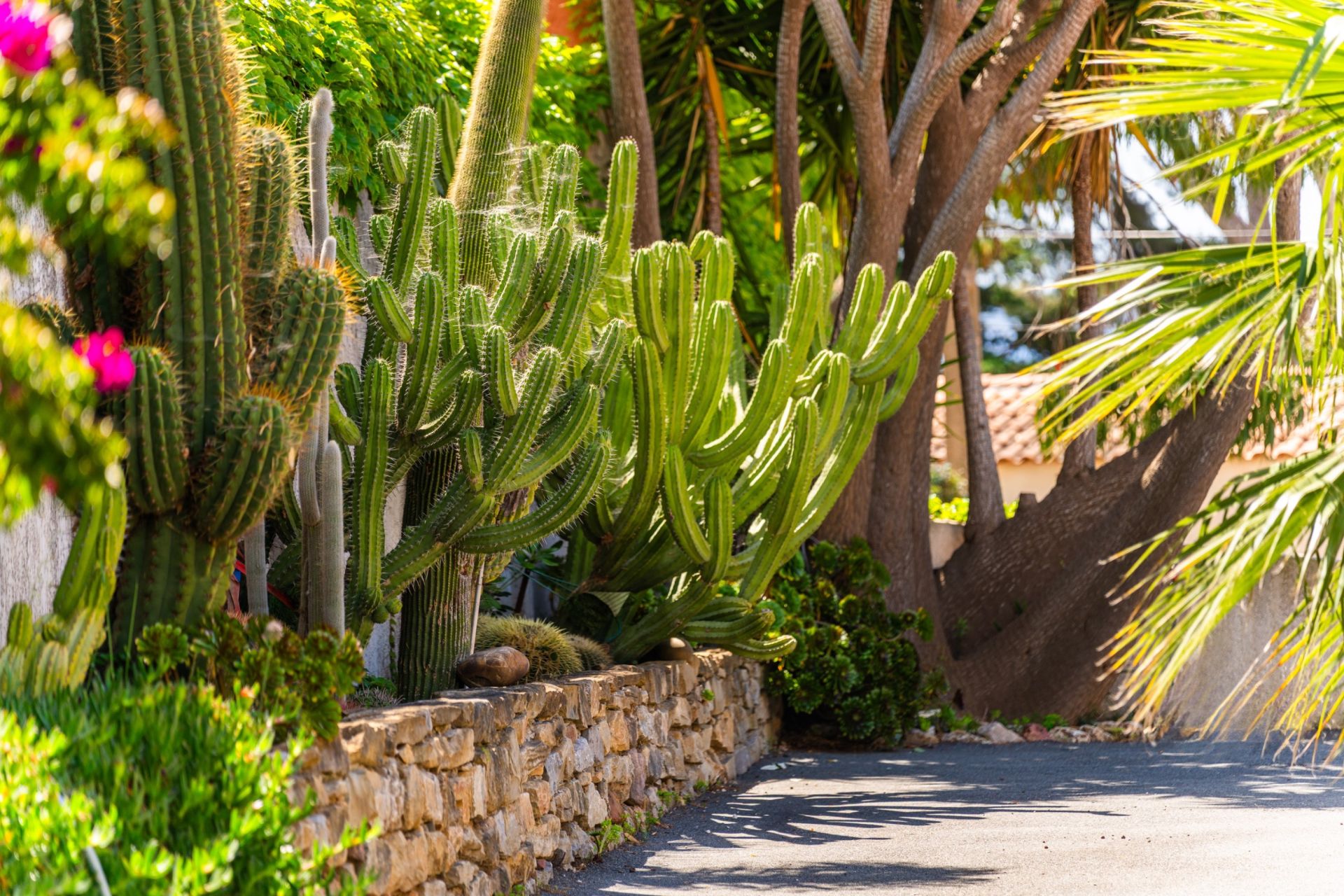 maison 10 Pièces en vente sur CARQUEIRANNE (83320)