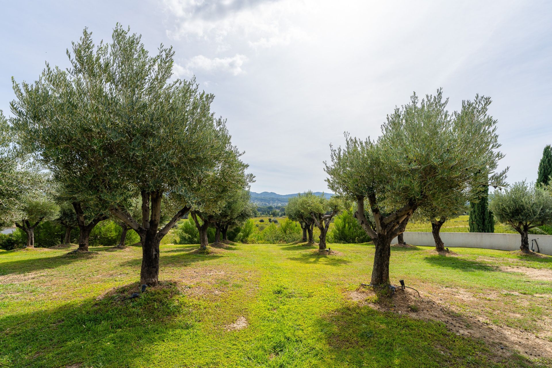 house 13 Rooms for sale on LA CADIERE D AZUR (83740)