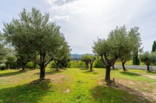 house 13 Rooms for sale on LA CADIERE D AZUR (83740)