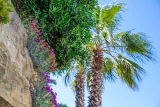 maison 5 Pièces en vente sur SANARY SUR MER (83110)