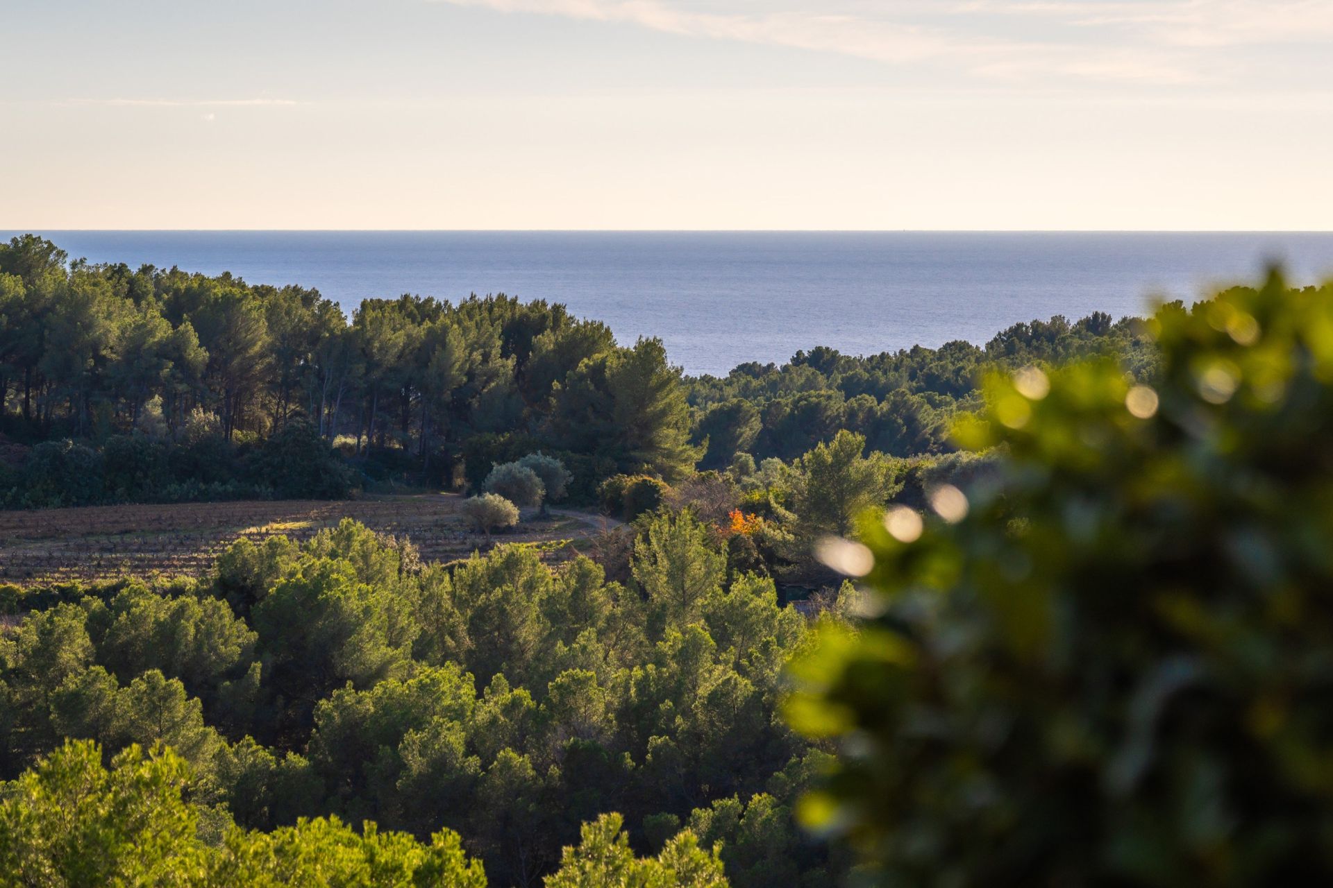 house 5 Rooms for sale on ST CYR SUR MER (83270)