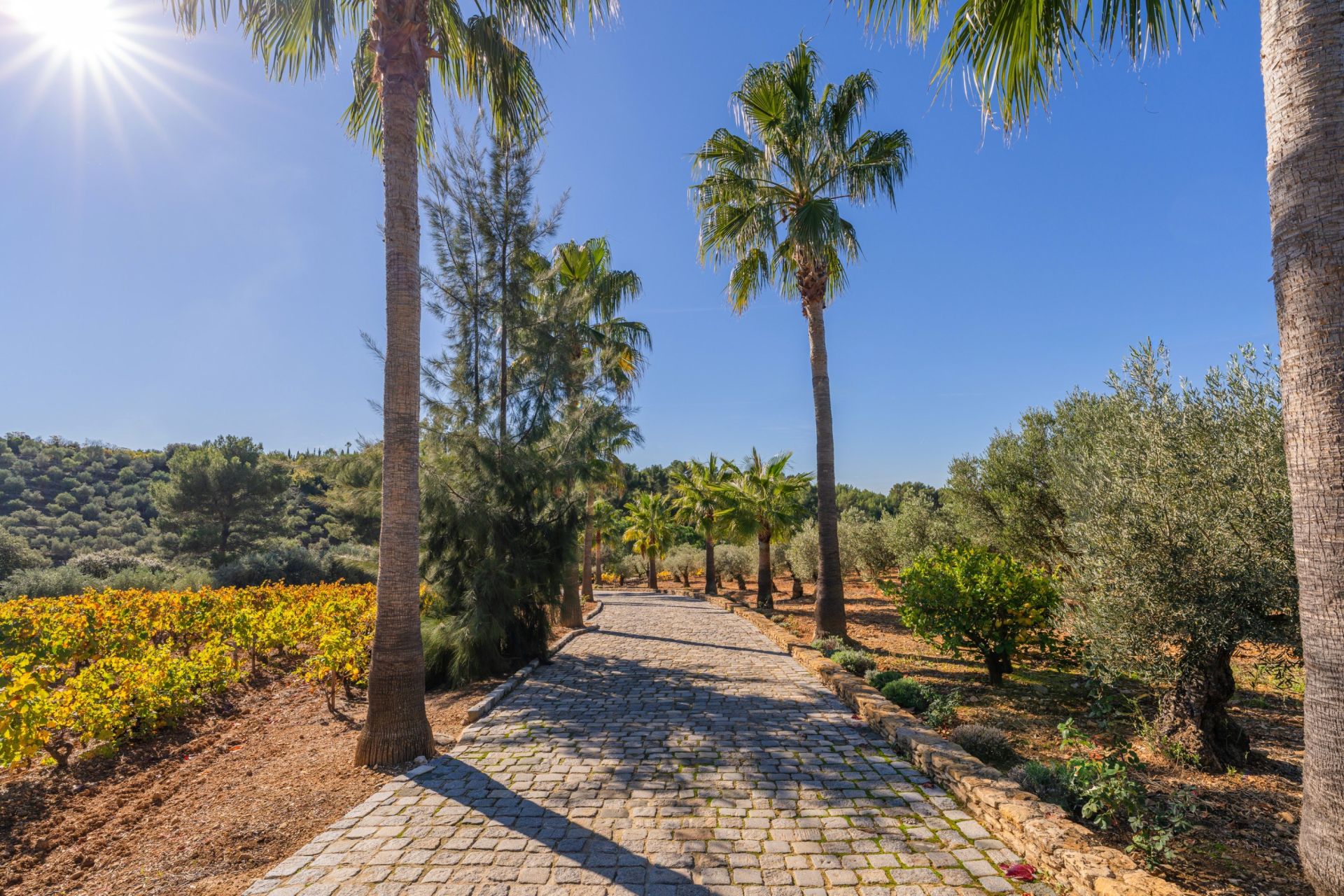 maison 20 Pièces en vente sur LE CASTELLET (83330)