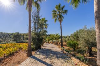 maison 20 Pièces en vente sur LE CASTELLET (83330)