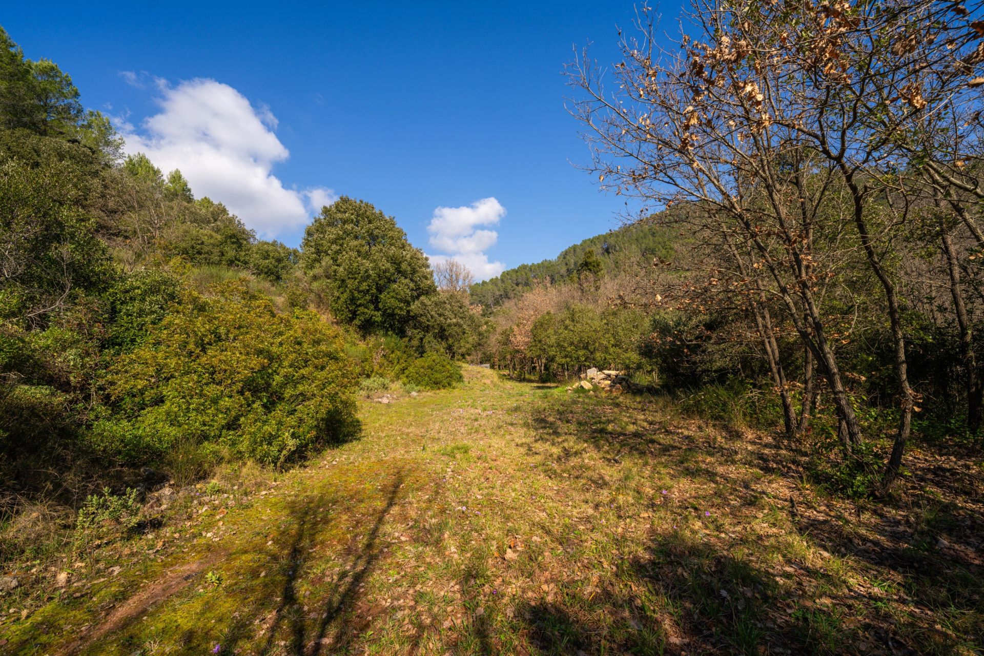 maison 2 Pièces en vente sur GONFARON (83590)