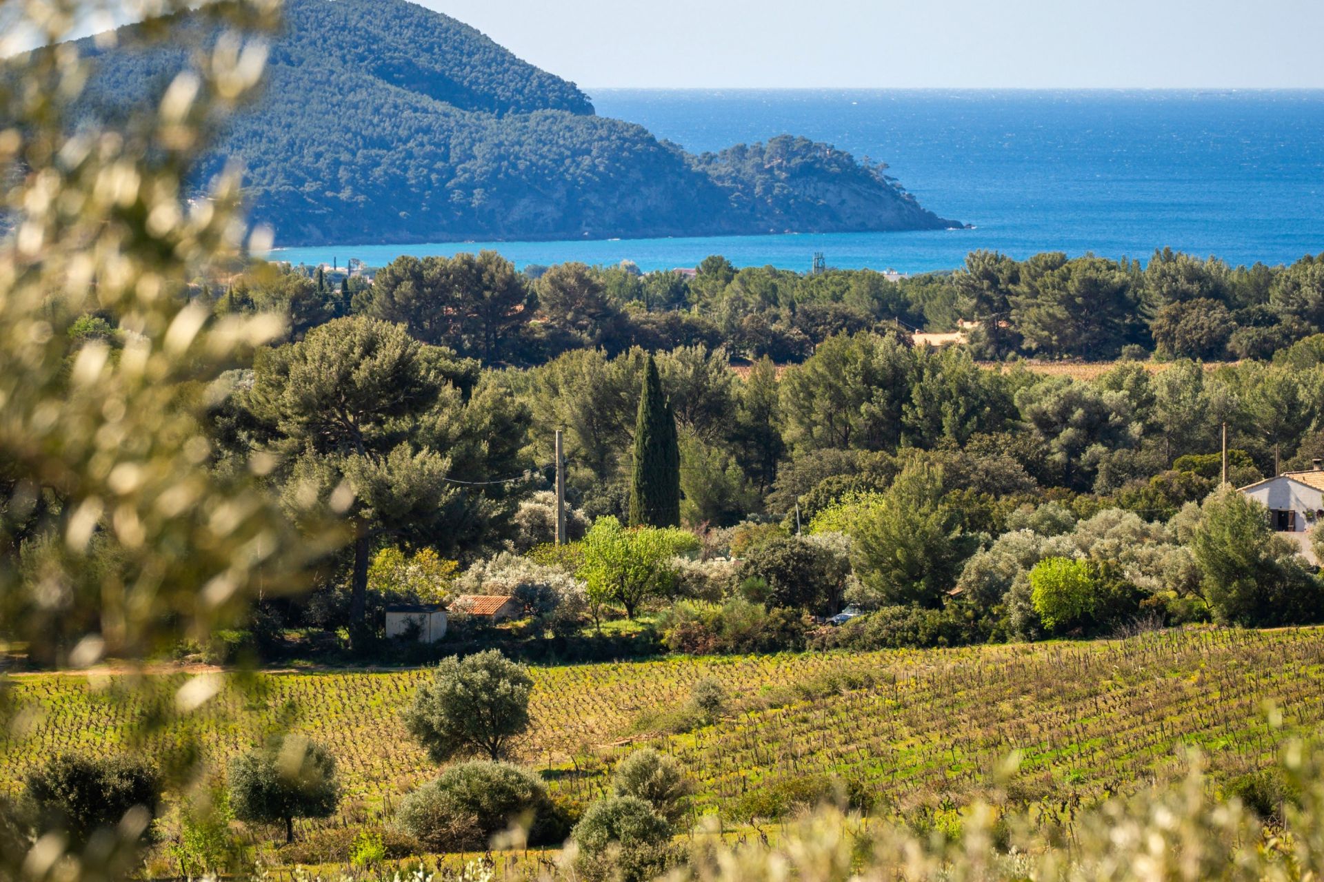 house 6 Rooms for sale on LA CADIERE D AZUR (83740)
