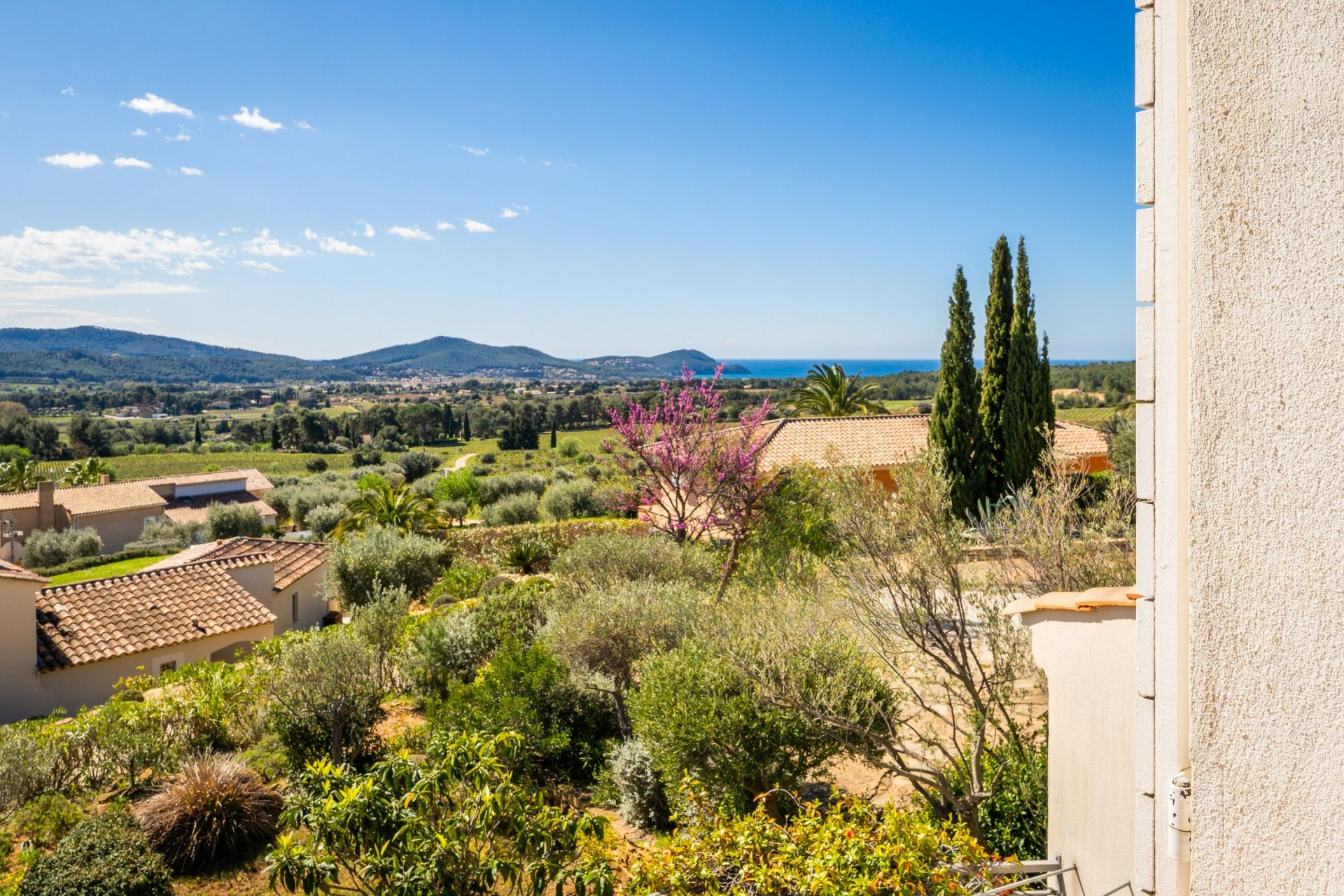 house 6 Rooms for sale on LA CADIERE D AZUR (83740)