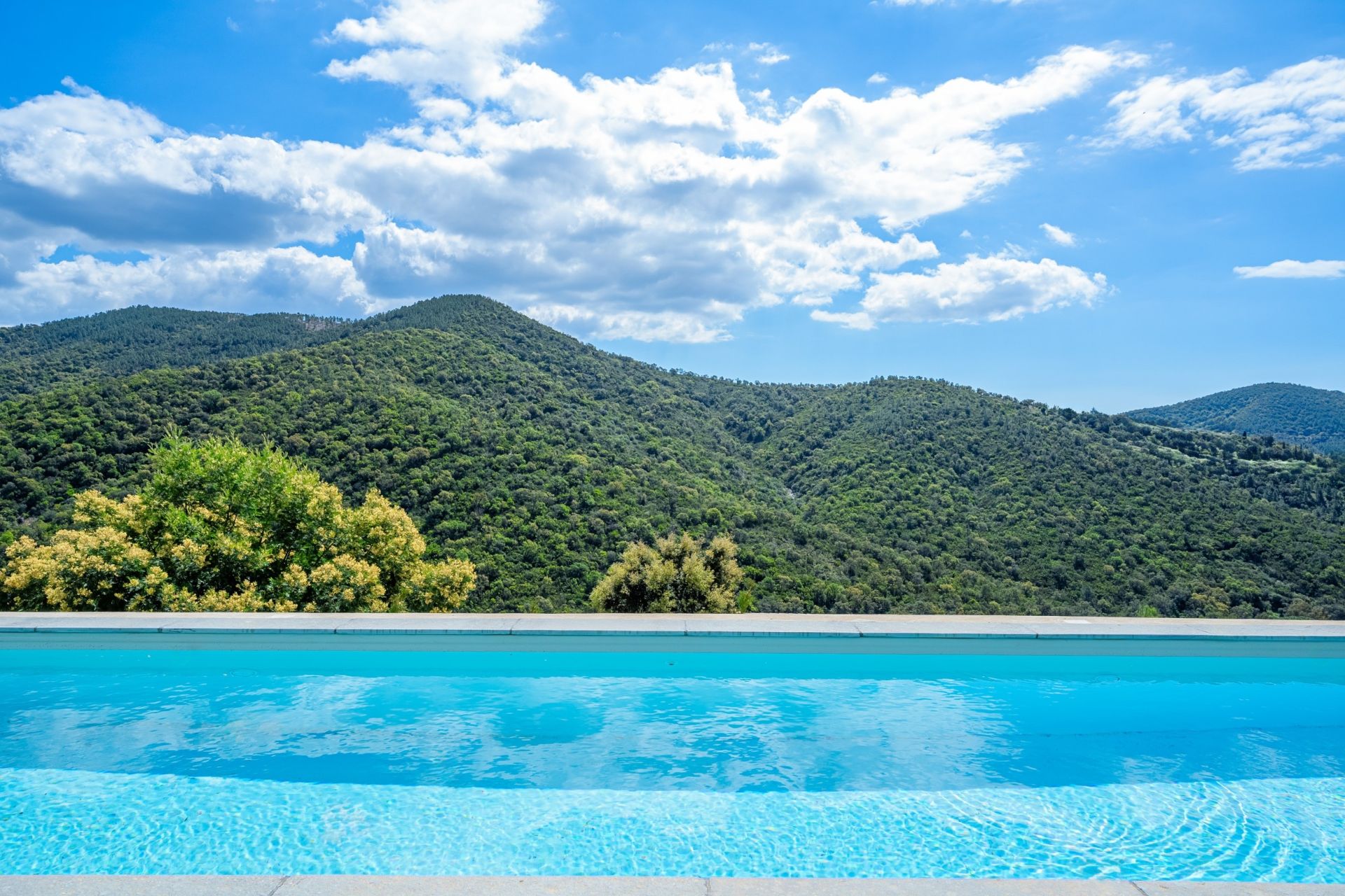 house 6 Rooms for sale on LA LONDE LES MAURES (83250)