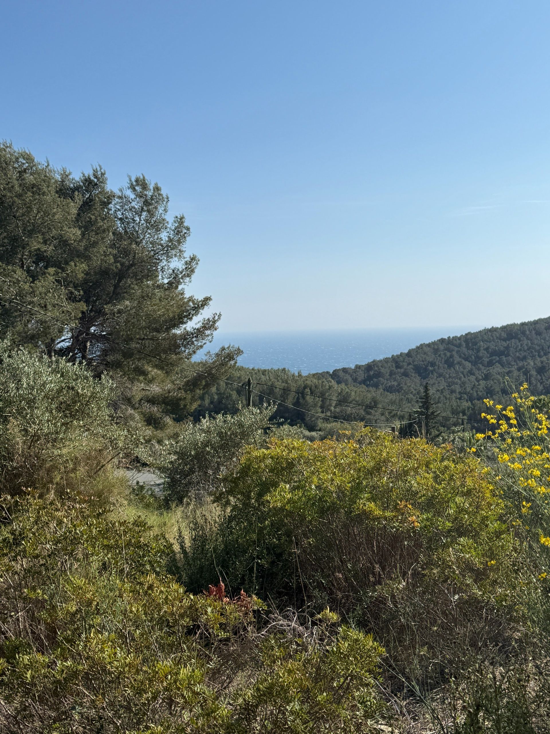 terrain en vente sur SANARY SUR MER (83110)