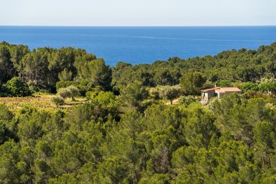 Vente Maison Saint-Cyr-sur-Mer 5&nbsp;Pièces 118&nbsp;m²