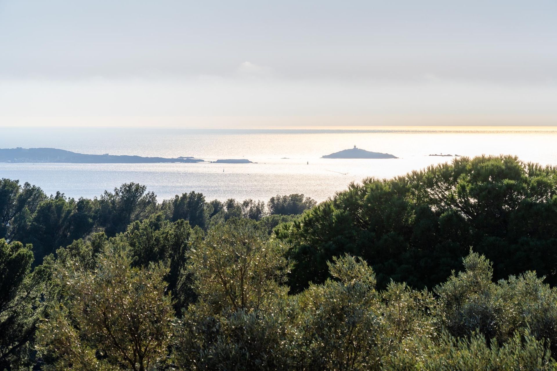 maison 6 Pièces en vente sur OLLIOULES (83190)