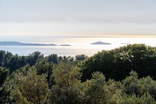 maison 6 Pièces en vente sur OLLIOULES (83190)