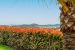 maison 6 Pièces en vente sur SANARY SUR MER (83110)