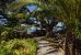apartment 3 Rooms for sale on PORQUEROLLES (83400)