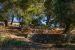 maison 10 Pièces en vente sur BANDOL (83150)
