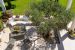 house 6 Rooms for sale on LA CADIERE D AZUR (83740)