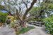 house 7 Rooms for sale on SANARY SUR MER (83110)